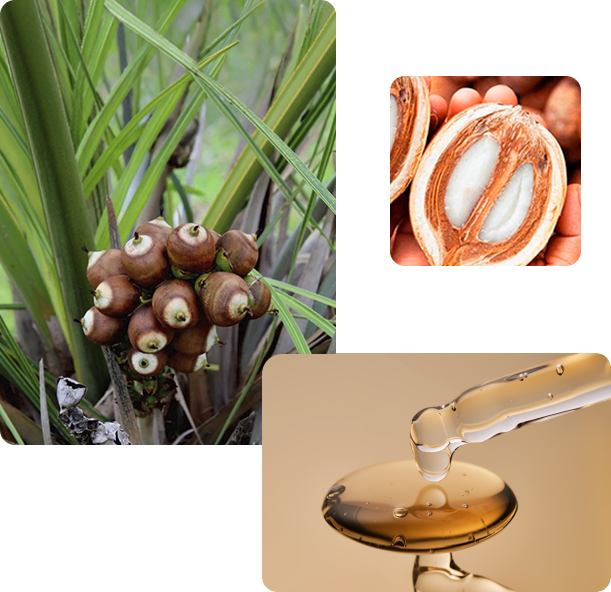 https://bioassu.com/wp-content/uploads/2026/07/crt_bioassu_07_v2.png